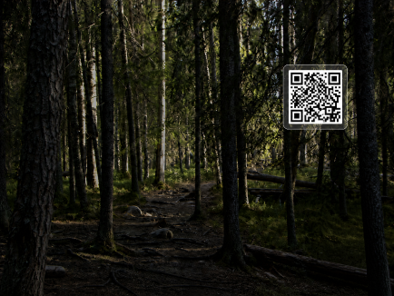 Audio-guided trail